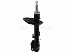 ������ Baikor Bksaf0546, ������ �������� BKSAF0546 ����