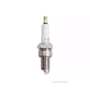 ����� ��������� OE006T10 ����