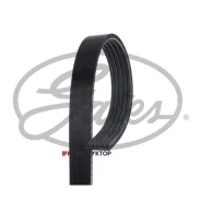 ������ ������������ XF 58372 Gates 5PK1083 5PK1083 ����