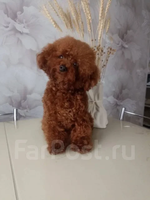 ���������� ������. ����