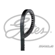 ������ �������� 13x1575 AVX13X1575HD ����
