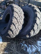 TyRex. �����������, 2018 ���, �/�, ����� 60 % ����