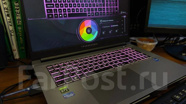 Thunderobot. 17.3", 2����, ��� 16 ��, ���� 512���, WiFi: 1, Bluetooth: 1, ����������� �� 10��. ����