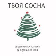 ���� �����. ����