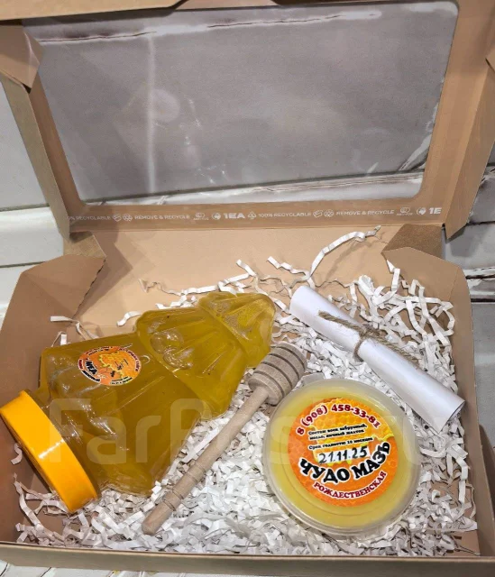 ������ ����������. ����