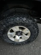 CST Sahara M/T II. ����� mt, 2023 ���, �/�, ����� 40 % ����