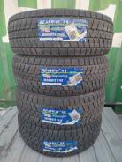 Bearway BW-Ice. ������, ��� �����, 2025 ���, ����� ����