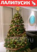 ���� �������������. ��� ����� �� ������������ ����