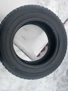 Bridgestone Winter Radial WT-17. ������, ����������, 2015 ���, �/�, ����� 50 % ����