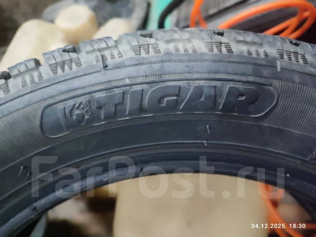 Tigar Winter. ������, ��� �����, 2019 ���, �/�, ����� 20 % ����