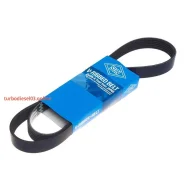 ������ ������������ SUN SUN 6PK1175 ����