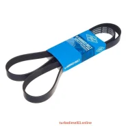 ������ ������������ SUN SUN 6PK1555 ����