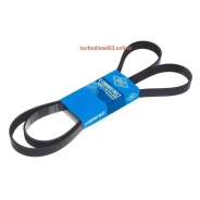 ������ ������������ SUN SUN 6PK1810 ����