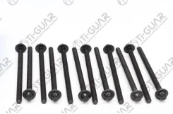 ����� � ����� /Tiguar ��� Opel 1.2/1.4Xexepxel; ���. 12/ ������ M8/ ��� ������ 1,25/ ������ 129��. ; Tgchb119SET; 24454151 81041200 016095B Tiguar TGC...