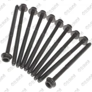 ����� � ����� / Tiguar ��� VAG A2 A3 Fabia Octavia Golf Polo 1.4 1.6; ���. 10/ ������ M9/ ��� ������ 1,25/ ����� 138��. ; Tgchb115SET; 030103384B 8103...