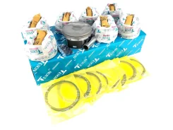 ������ �������� � �������� Nissan Patrol, Infiniti QX80 QX56 VK56VD +0.5 44366050KIT ����