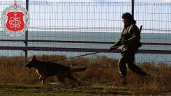   .  .  ,   , ,   (. ) 1 