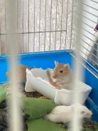 ����. ����