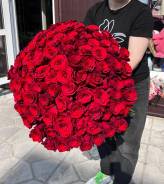 ����. ����