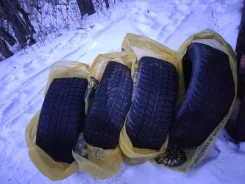 Federal Himalaya WS2. ������, ��� �����, 2015 ���, �/�, ����� 50 % ����