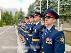 .  -33     .  -33   /    