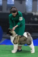 ������������ �����. ����