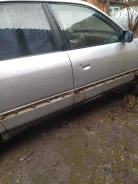 Audi S4 ����