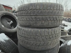 Delinte Winter WD52. ������, ����������, �/�, ����� 50 % ����