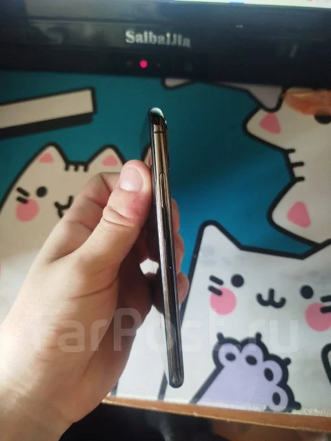 Apple iPhone X. �/�, 256 ��, ������, 3G, 4G LTE ����