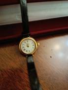 ���� ���������. ����