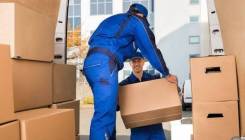 �������. ��� "�����". ����� ��������� 47 ����