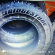 Bridgestone LC7000. ������, ����������, 2019 ���, �/�, ����� 30 % ����