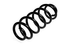 ������� ������� �����, �������� ������, ����� ��� Volkswagen Passat, Skoda Superb 2.0 Standard Springs ST134111F ST134111F ����