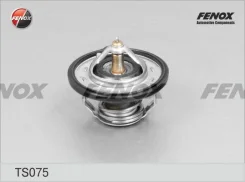 ��������� +82C ��� KIA CEED, Hyundai i30, Hyundai i20 Fenox TS075 TS075 ����