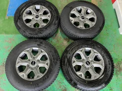 Dunlop Wild Cruising KC-X
