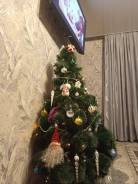 ���� �������������. ����