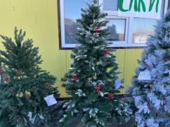 ���� �������������. ����