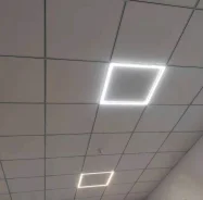 ����������� ������������. ����