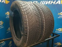 Nexen Winguard Ice Plus