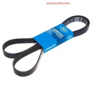 ������ ������������ SUN SUN 7PK1775 ����
