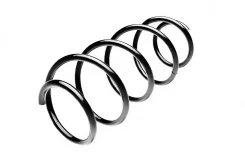 ������� ������� �����, �������� ������, ����� ��� Volkswagen GOLF, Volkswagen Beetle, Skoda Octavia Standard Springs ST134048F ST134048F ����