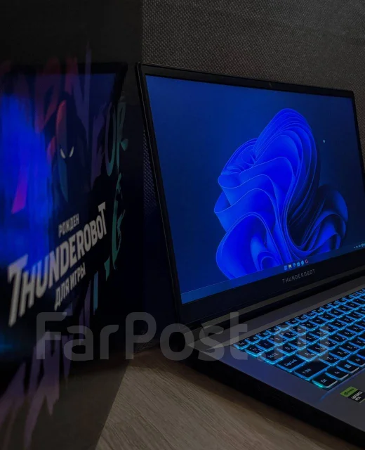 Thunderobot 911 Plus G3 Pro. 17.3", 2,6����, ��� 16 ��, ���� 512���, WiFi: 1, Bluetooth: 1, ����������� �� 15��. ����