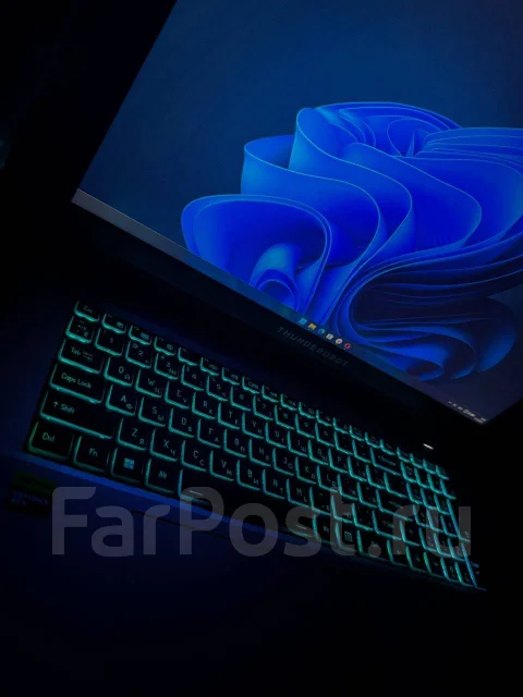 Thunderobot 911 Plus G3 Pro. 17.3", 2,6����, ��� 16 ��, ���� 512���, WiFi: 1, Bluetooth: 1, ����������� �� 15��. ����