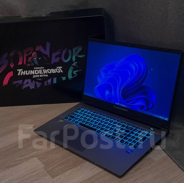 Thunderobot 911 Plus G3 Pro. 17.3", 2,6����, ��� 16 ��, ���� 512���, WiFi: 1, Bluetooth: 1, ����������� �� 15��. ����