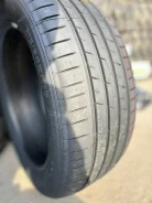 Tercelo Tercesis Eco. ������, �����. ��������� ����