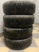 Evergreen IceTour i5. ������, ����������, 2022 ���, �/�, ����� 5 % ����