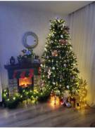 ����. ����