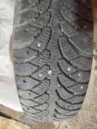 Tunga Nordway. ������, ��� �����, 2019 ���, �/�, ����� 60 % ����
