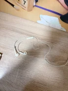 ���������. ����
