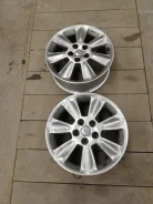 Autec. x71" ����